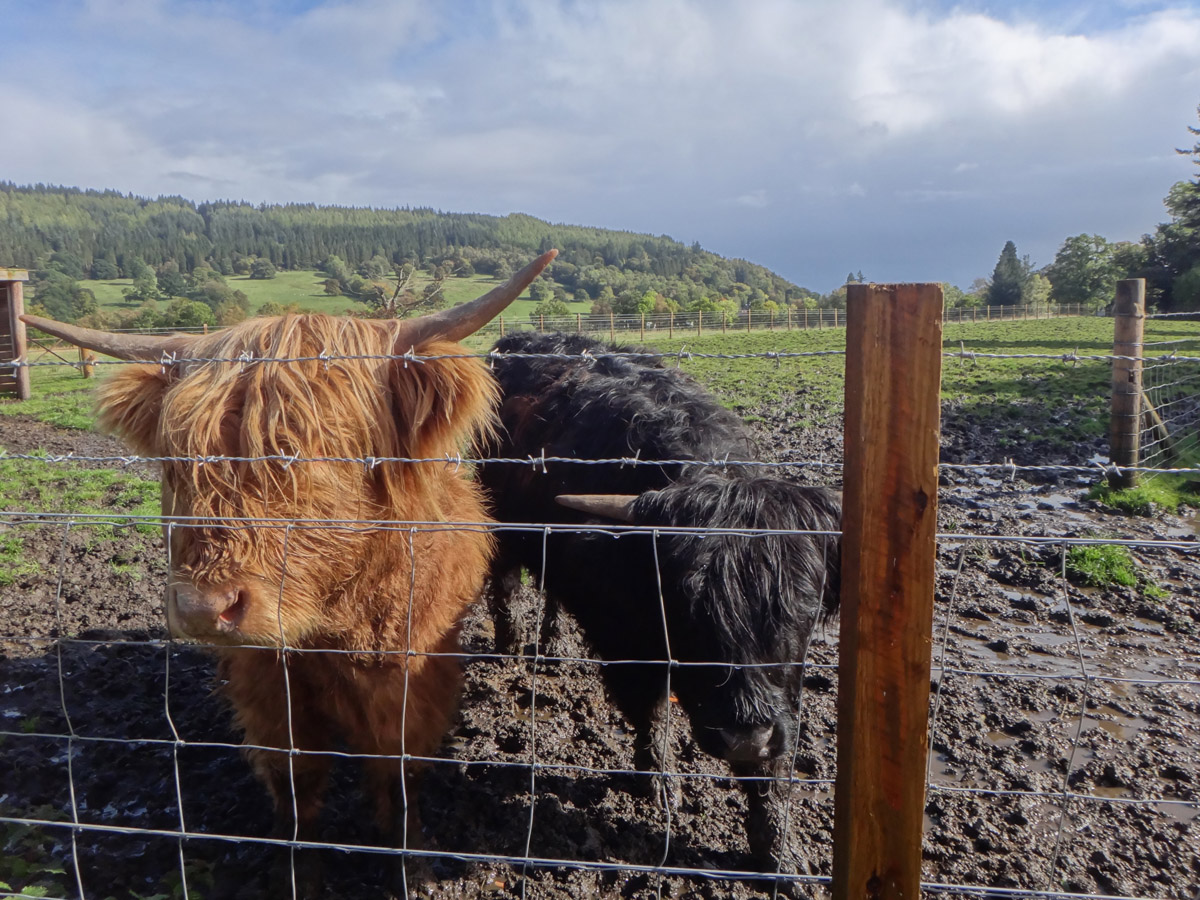 Scottish Highlands, Scotland