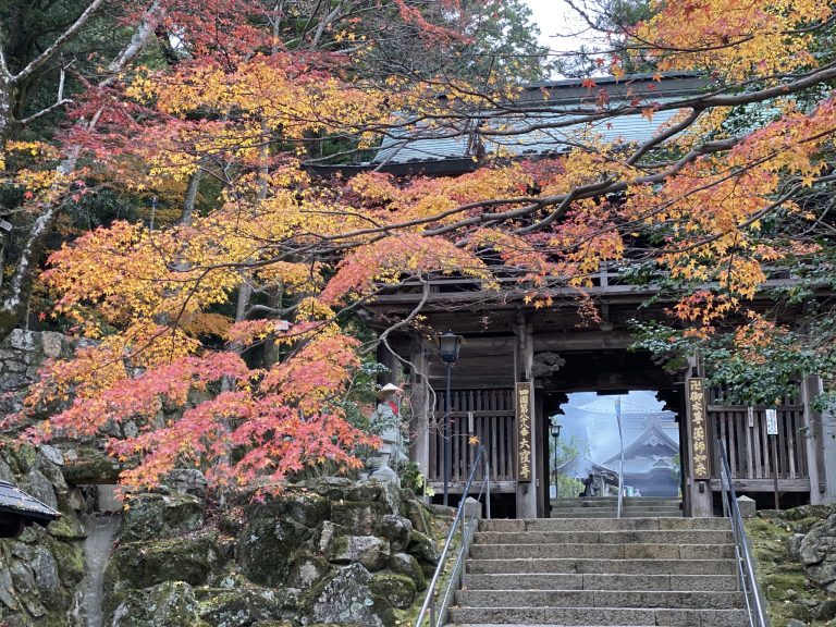 Shikoku Henro 88 Temples Pilgrimage